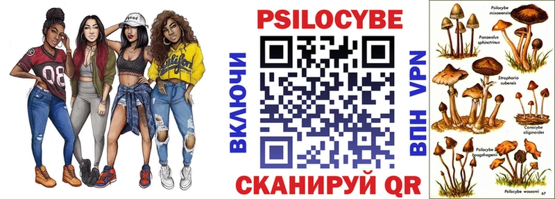 Галлюциногенные грибы MAGIC MUSHROOMS  omg сайт  Поворино 